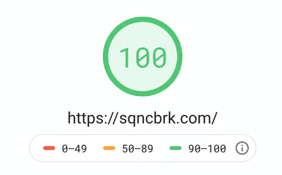 100/100 speed score of sqncbrk.com